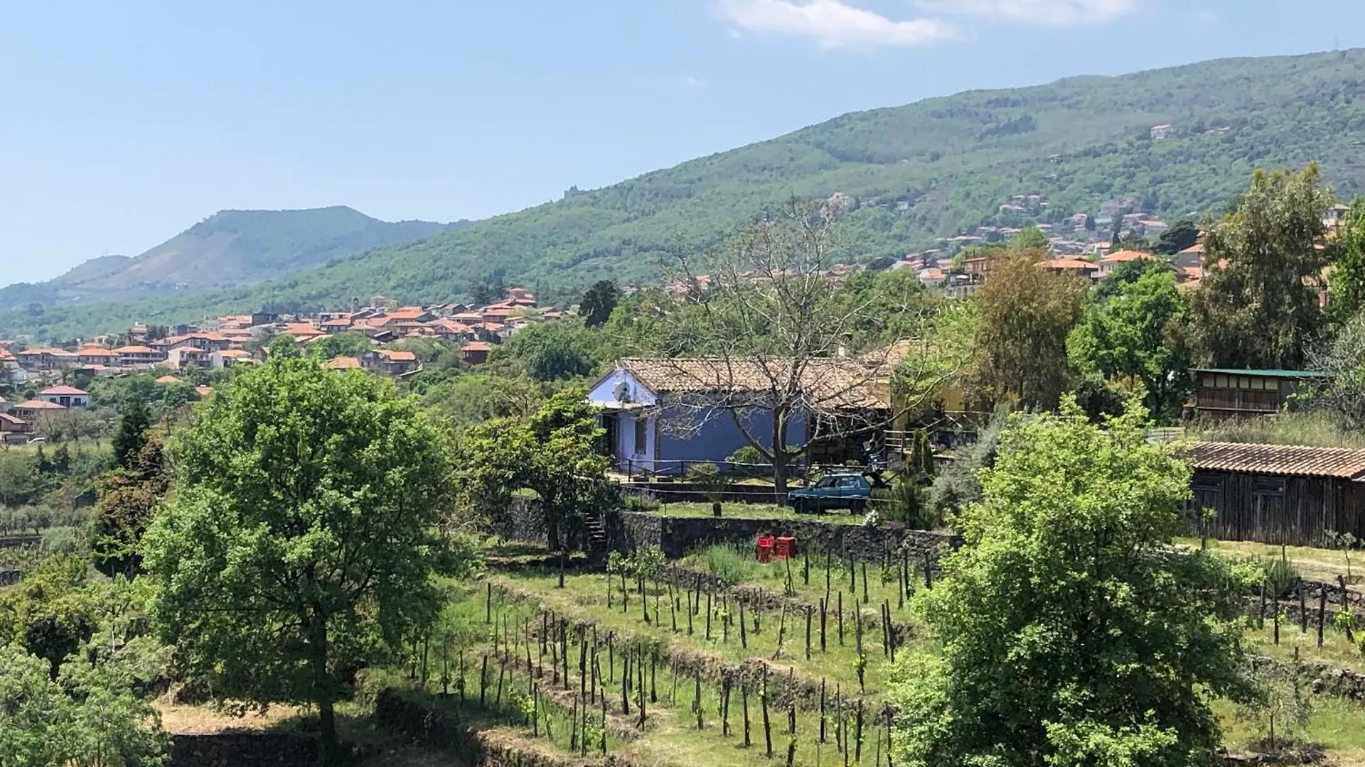 Alberto'S Mt.Etna B&B Zafferana Etnea Italia