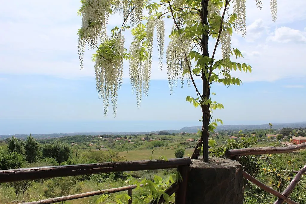 Alberto'S Mt.Etna B&B Zafferana Etnea Bed & Breakfast