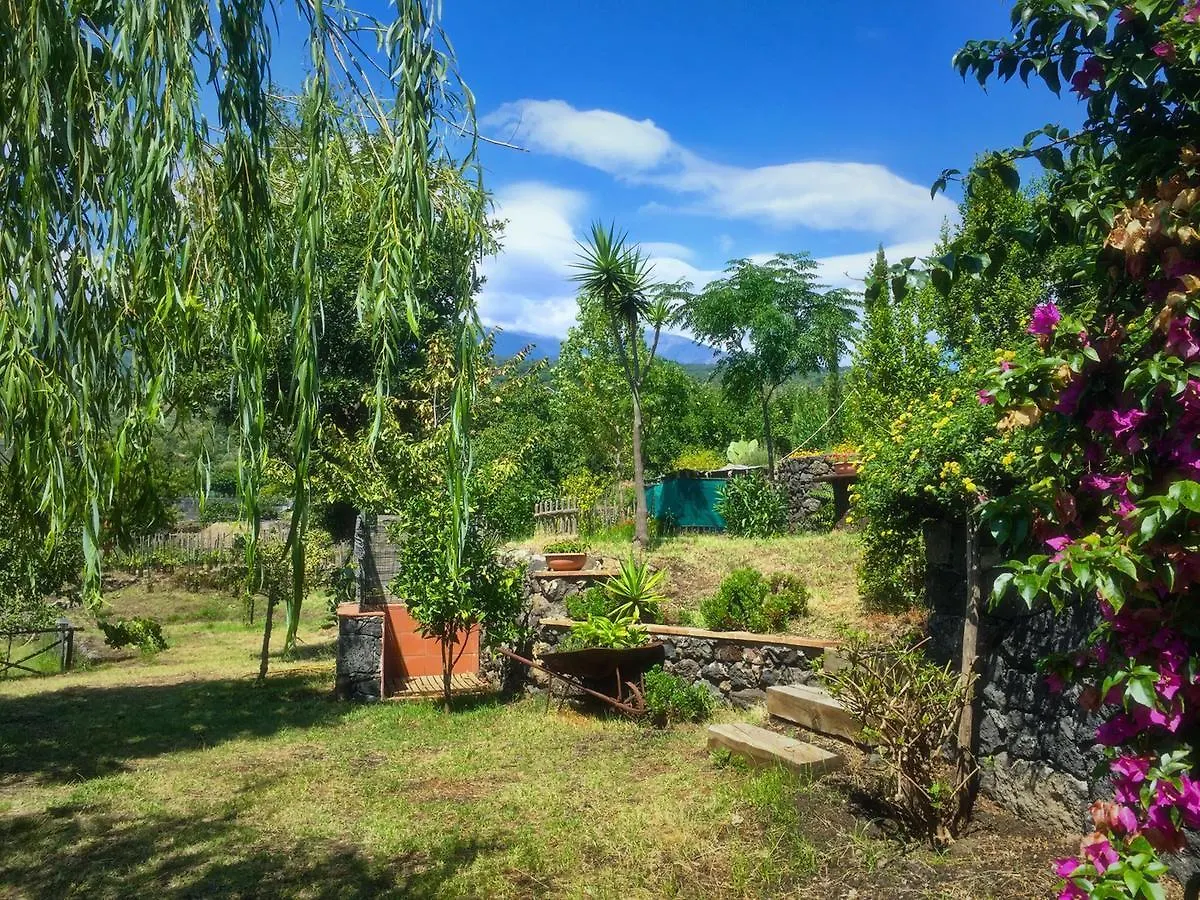 Bed & Breakfast Alberto'S Mt.Etna B&B Zafferana Etnea