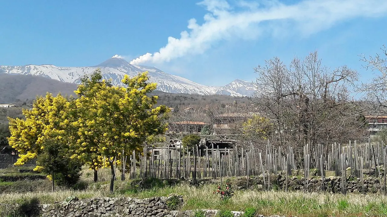 Bed & Breakfast Alberto'S Mt.Etna B&B Zafferana Etnea Italia