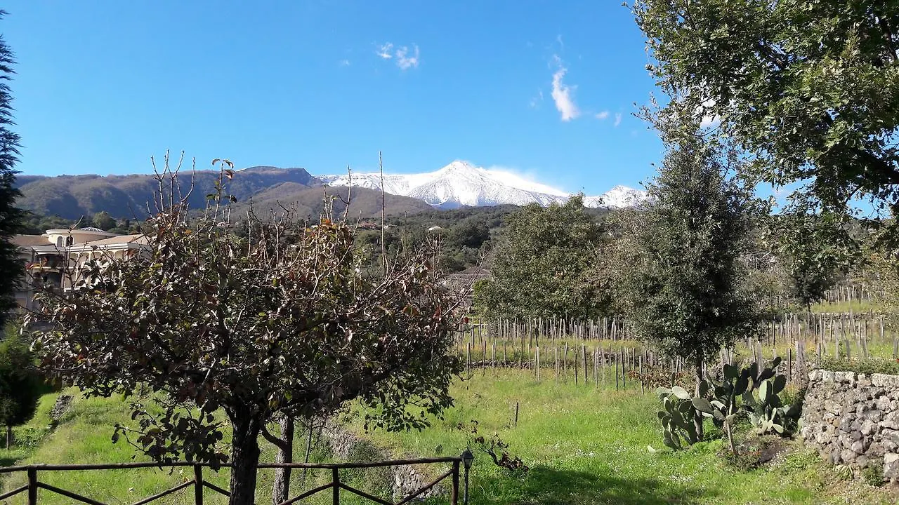Alberto'S Mt.Etna B&B Zafferana Etnea