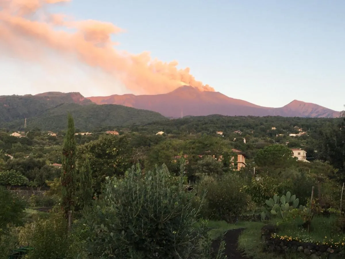 Alberto'S Mt.Etna B&B Zafferana Etnea Italia